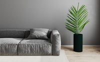 Canapé recouvert d'une housse de canapé gris en tweed, à côté d'une plante verte et d'un mur gris.