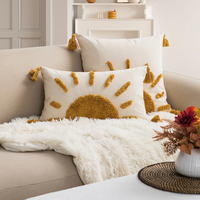 Housse Coussin Canapé avec Motif de Soleil sur un canapé